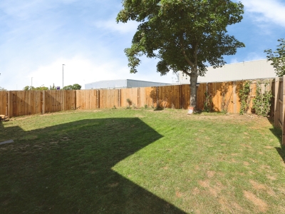 Picture 11